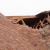 Mount Lemmon Roof Damage Claims by Alpha Restoration LLC